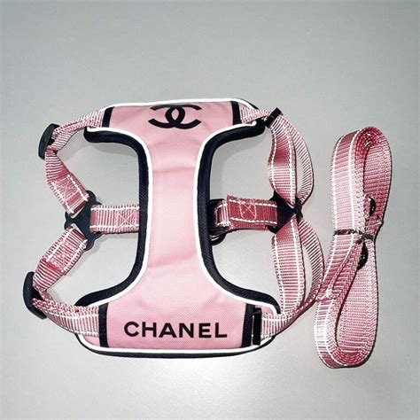 dog chanel clothes|chanel dog collar for sale.